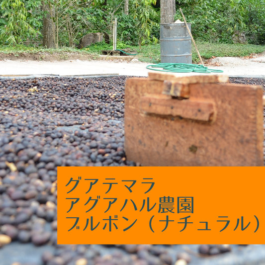 グアテマラ アグアハル農園 ブルボン(ナチュラル)