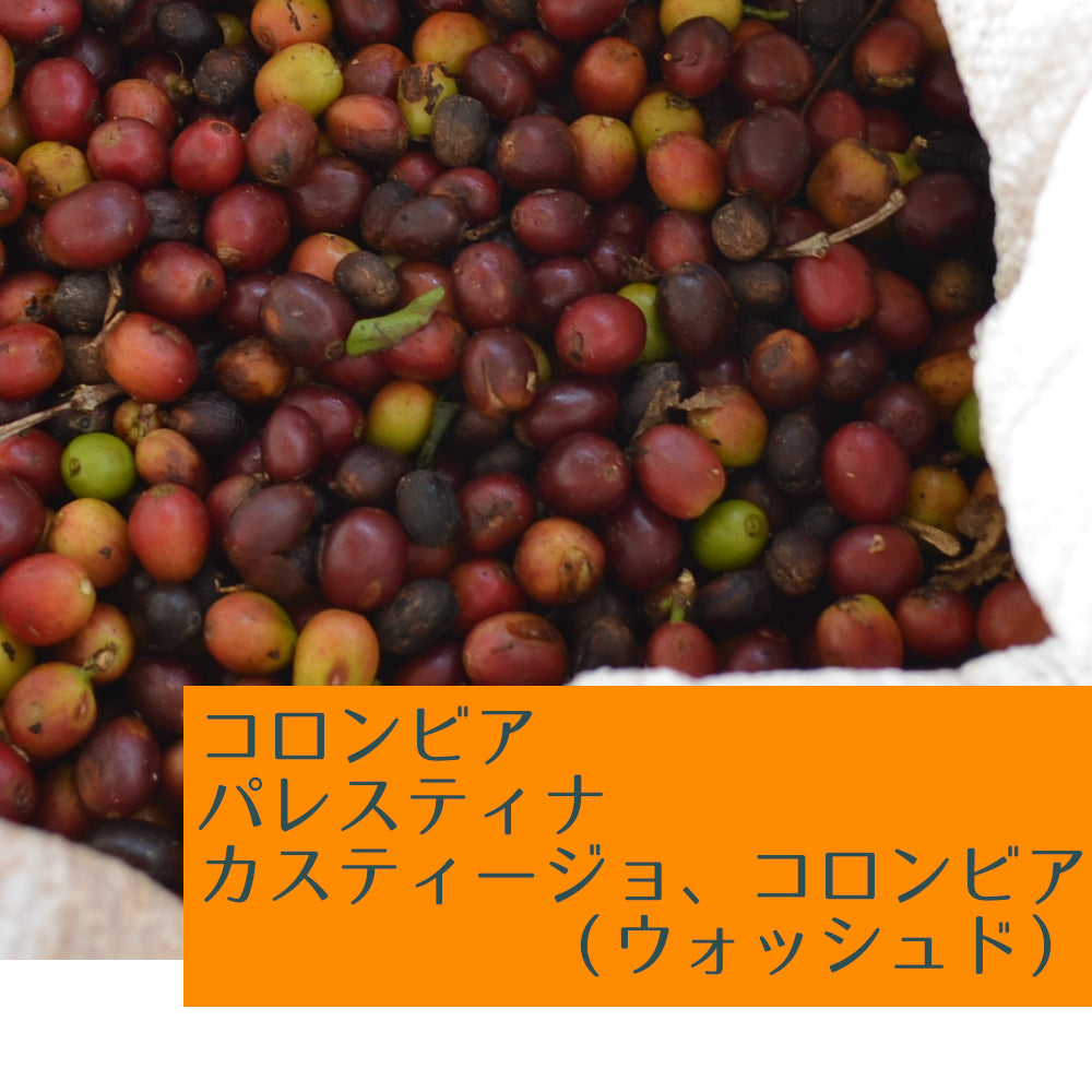 コロンビア パレスティナ カスティージョ、コロンビア(ウォッシュド)