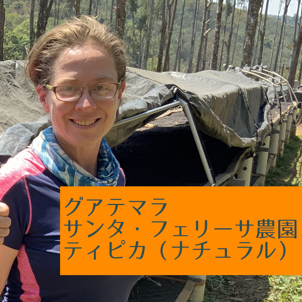 グアテマラ サンタ・フェリーサ農園 ティピカ(ナチュラル)