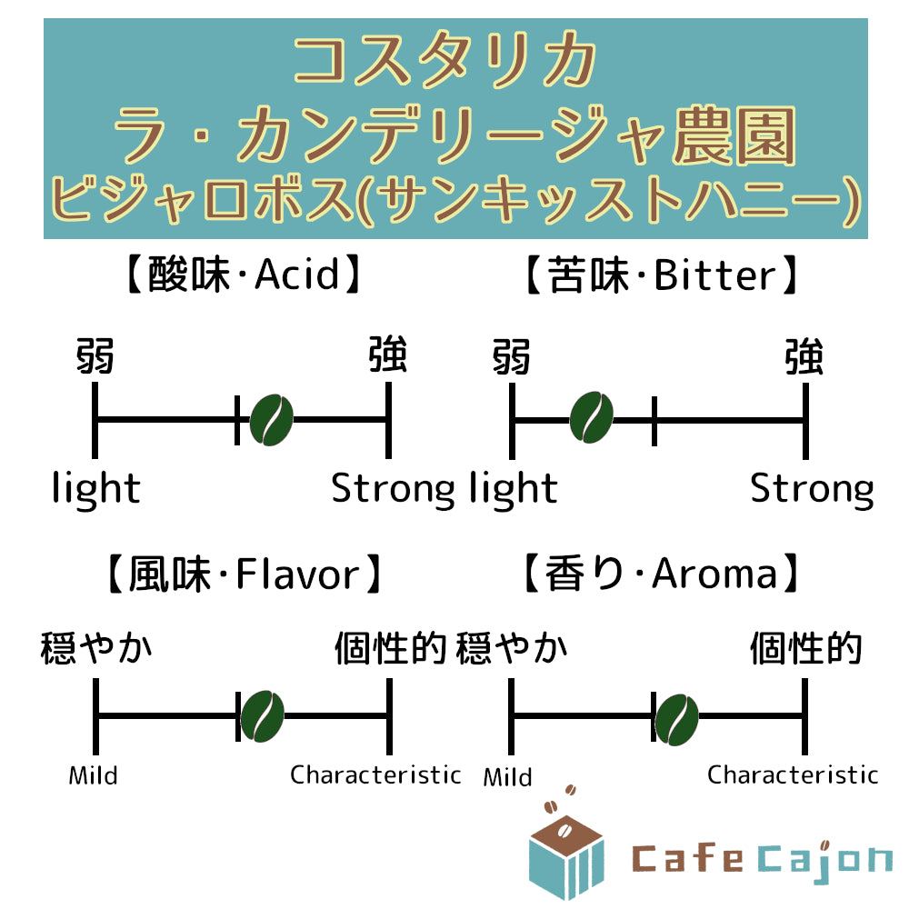 コスタリカ ラ・カンデリージャ農園 ビジャロボス(サンキッストハニー)
