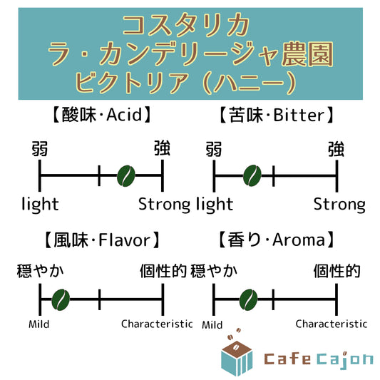 コスタリカ　ラ・カンデリージャ農園　ビクトリア（ハニー）