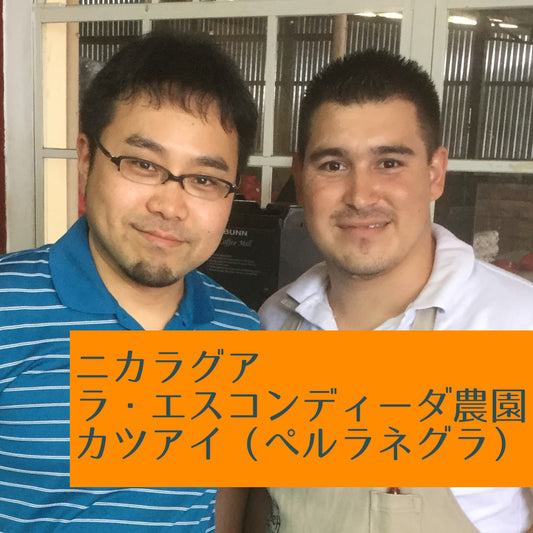 ニカラグア ラ・エスコンディーダ農園 カツアイ(ぺルラネグラ)