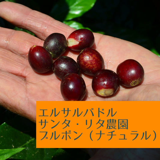 エルサルバドル サンタ・リタ農園 ブルボン(ナチュラル)