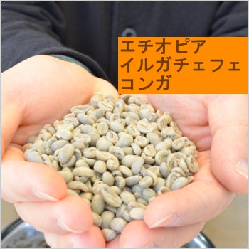 エチオピア イルガチェフェ コンガ 在来種(ウォッシュド)