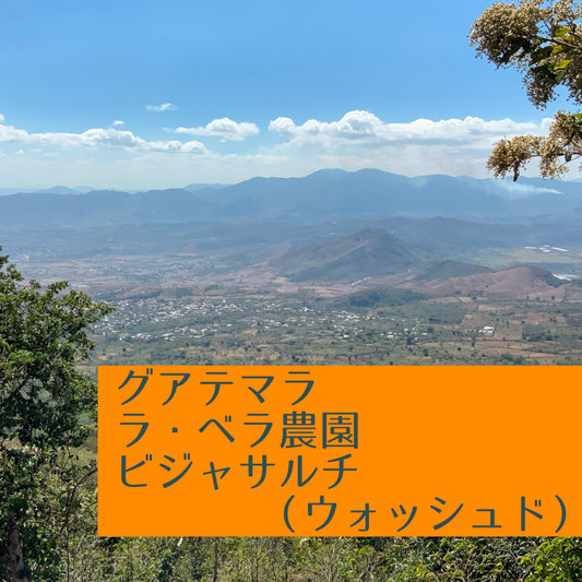 グアテマラ ラ・ベラ農園 ビジャサルチ(ウォッシュド)