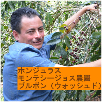 ホンジュラス モンテシージョス農園 ブルボン(ウォッシュド)