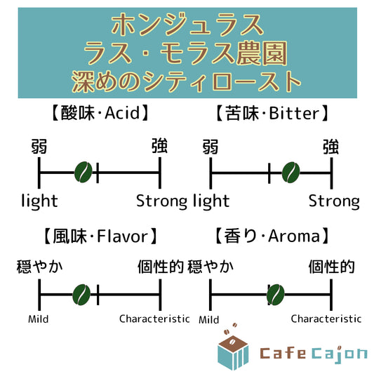 ホンジュラス　ラス・モラス農園　カツアイ（ウォッシュド）