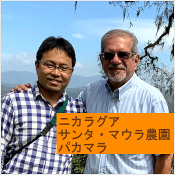 ニカラグア サンタ・マウラ農園 パカマラ(ウォッシュド)