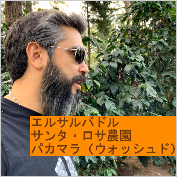 エルサルバドル サンタ・ロサ農園 パカマラ(ウォッシュド)