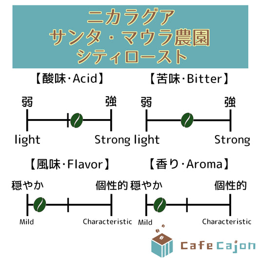 ニカラグア　サンタ・マウラ農園　パカマラ（ウォッシュド）