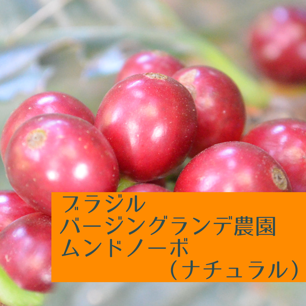 ブラジル バージングランデ農園 ムンドノーボ(ナチュラル)