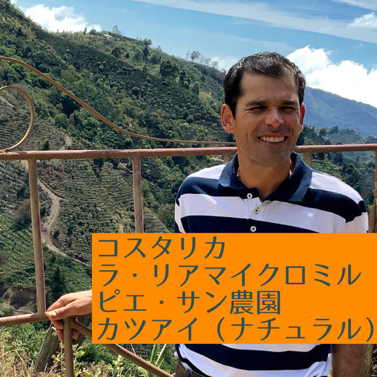 コスタリカ ラ・リア ピエ・サン農園 カツアイ(ナチュラル)