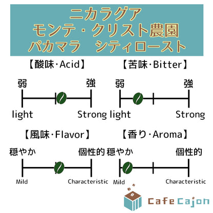 ニカラグア　モンテ・クリスト農園　パカマラ（ウォッシュド）