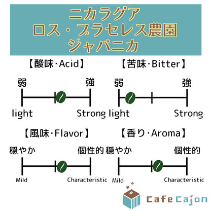ニカラグア　ロス・プラセレス農園　ジャバニカ（ウォッシュド）