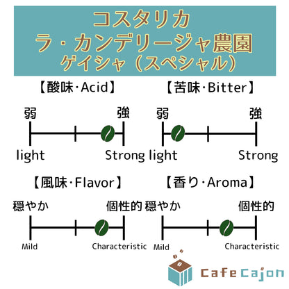 コスタリカ　ラ・カンデリージャ農園　ゲイシャ（スペシャル）