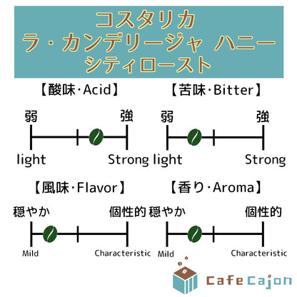 コスタリカ　ラ・カンデリージャ　ビクトリア（ハニー）
