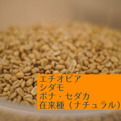 エチオピア　シダモ　ボナ・セダカ　在来種（ナチュラル）
