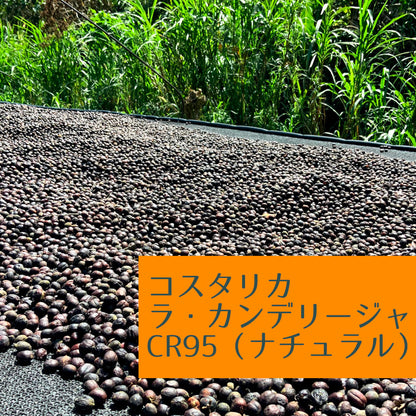 コスタリカ　ラ・カンデリージャ　CR95（ナチュラル）