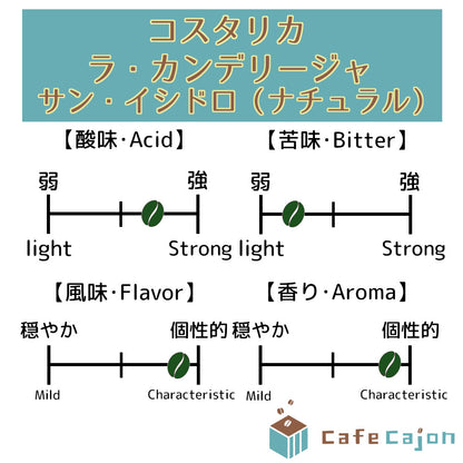 コスタリカ　ラ・カンデリージャ　サン・イシドロ（ナチュラル）