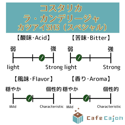 コスタリカ　ラ・カンデリージャ　カツアイSH3（スペシャル）