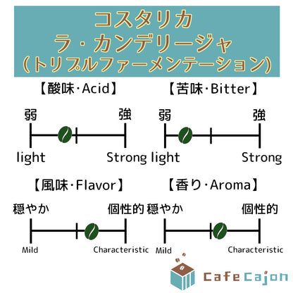 コスタリカ　ラ・カンデリージャ　ビジャロボス（トリプルファーメンテーション）