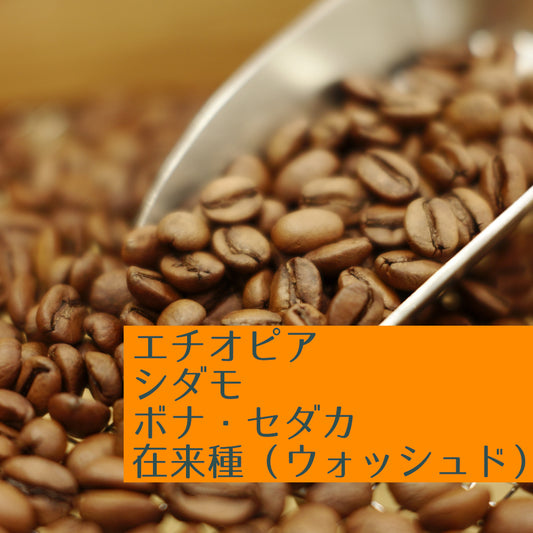 エチオピア　シダモ　ボナ・セダカ　在来種（ウォッシュド）