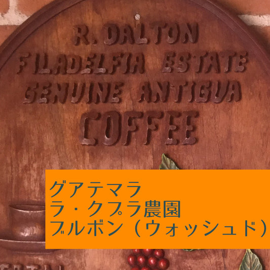 グアテマラ　ラ・クプラ農園　ブルボン（ウォッシュド）