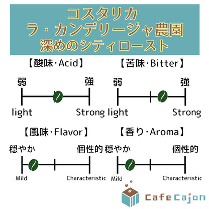 コスタリカ　ラ・カンデリージャ農園　カツーラ（ウォッシュド）