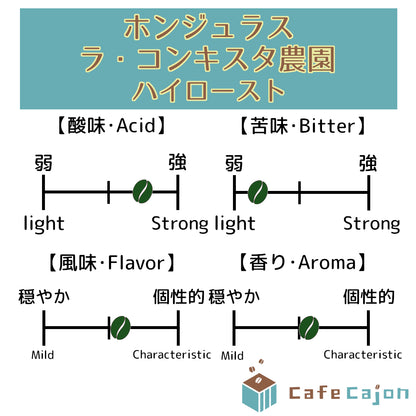 ホンジュラス　ラ・コンキスタ農園　パライネマ（ウォッシュド）